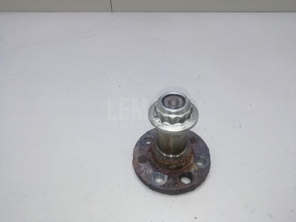 Цапфа (п.з.к.)