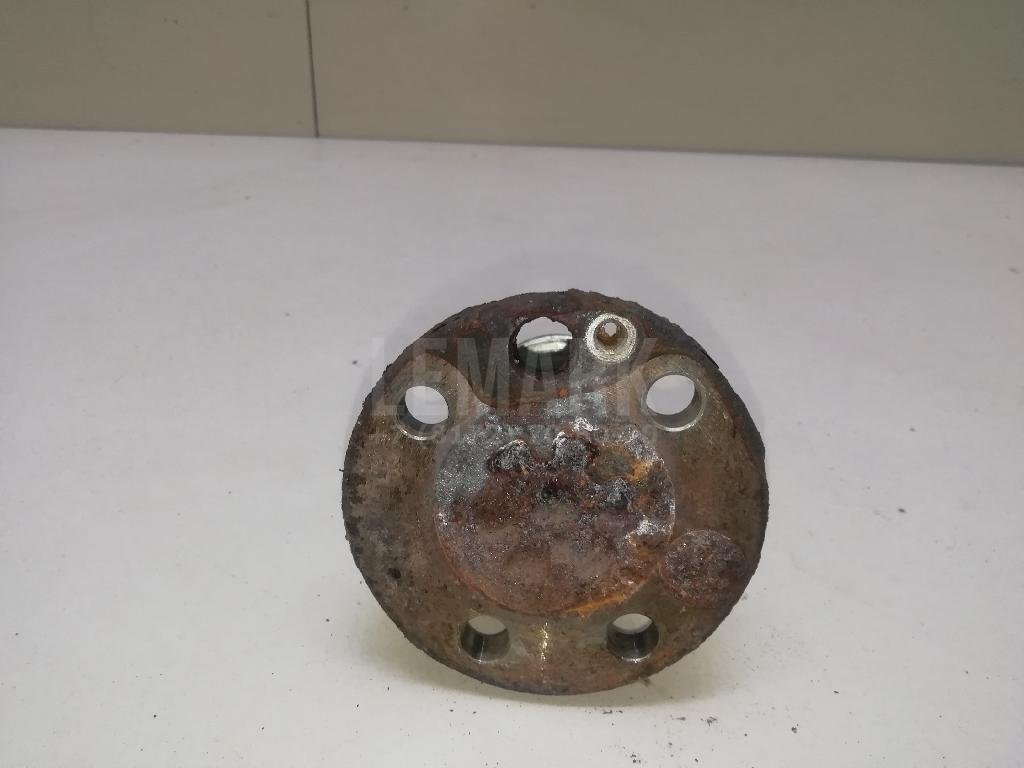 Цапфа (п.з.к.)