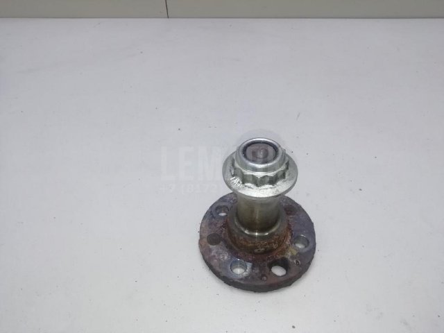 Цапфа (п.з.к.)