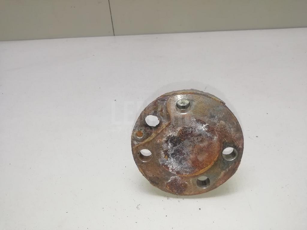 Цапфа (п.з.к.)