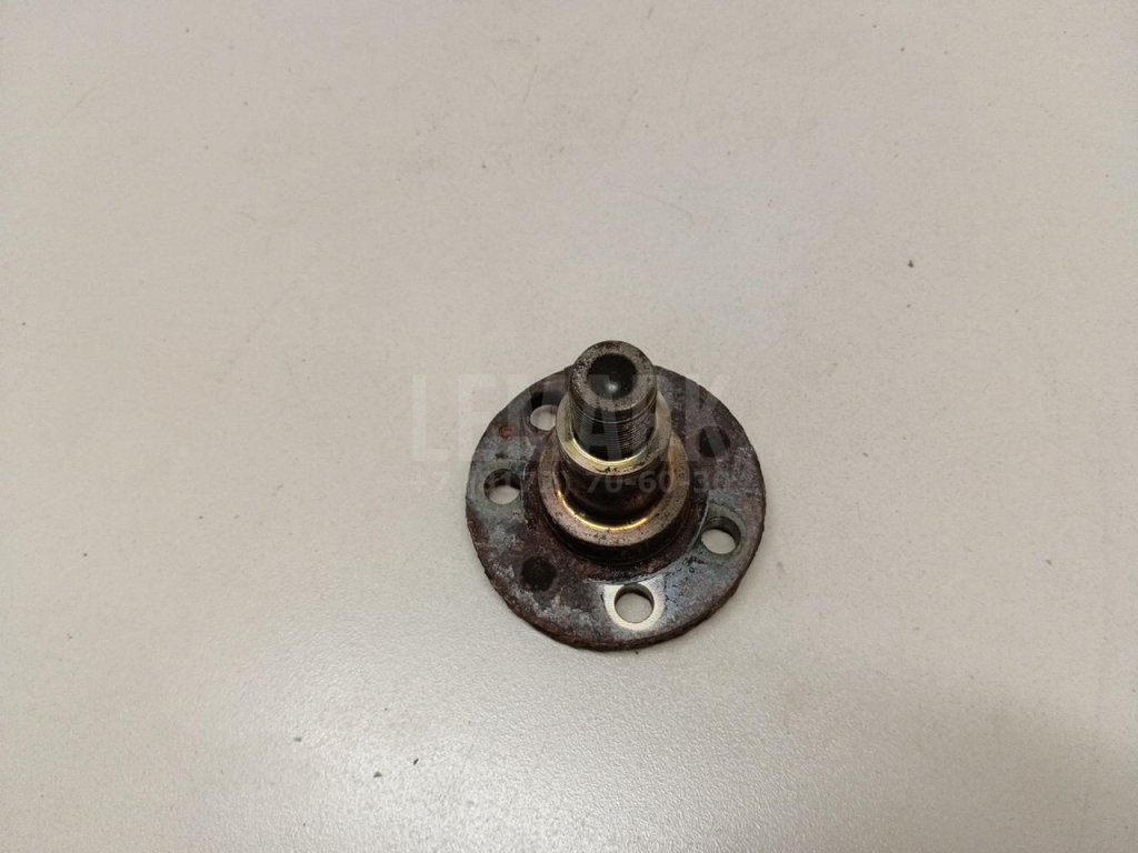 Цапфа (п.з.к.)