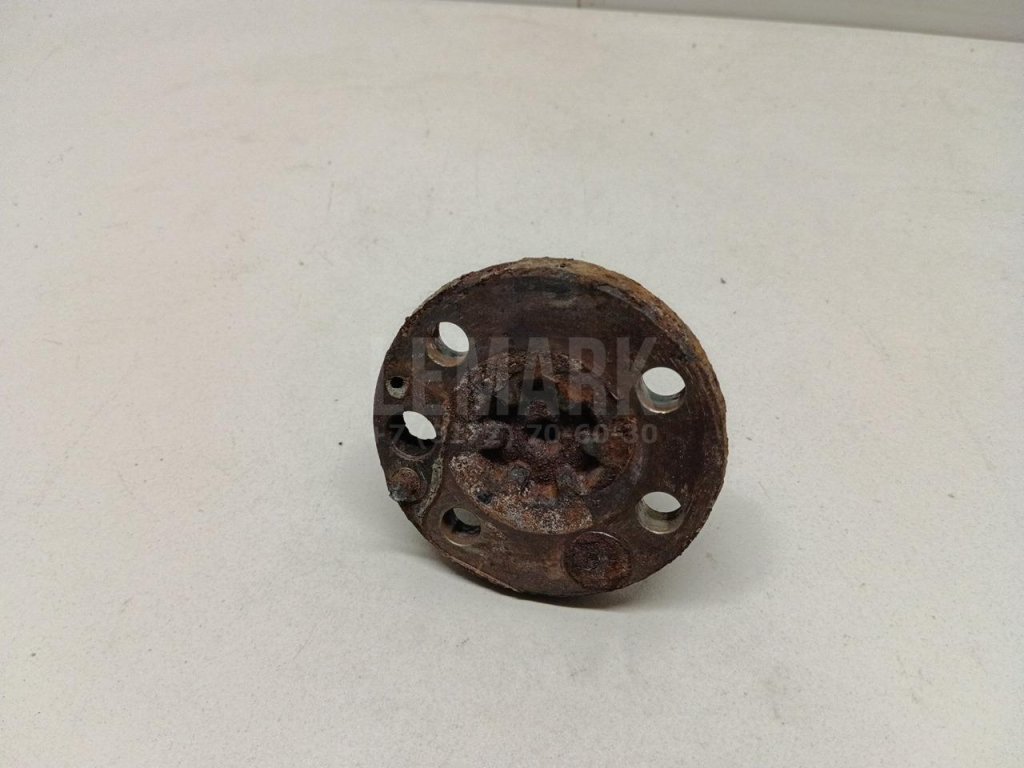 Цапфа (п.з.к.)