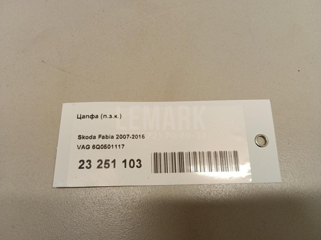 Цапфа (п.з.к.)