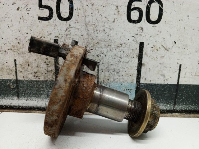 Цапфа (п.з.к.)