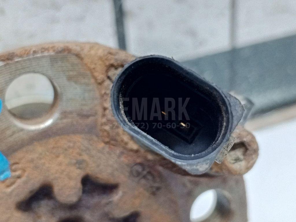 Цапфа (п.з.к.)