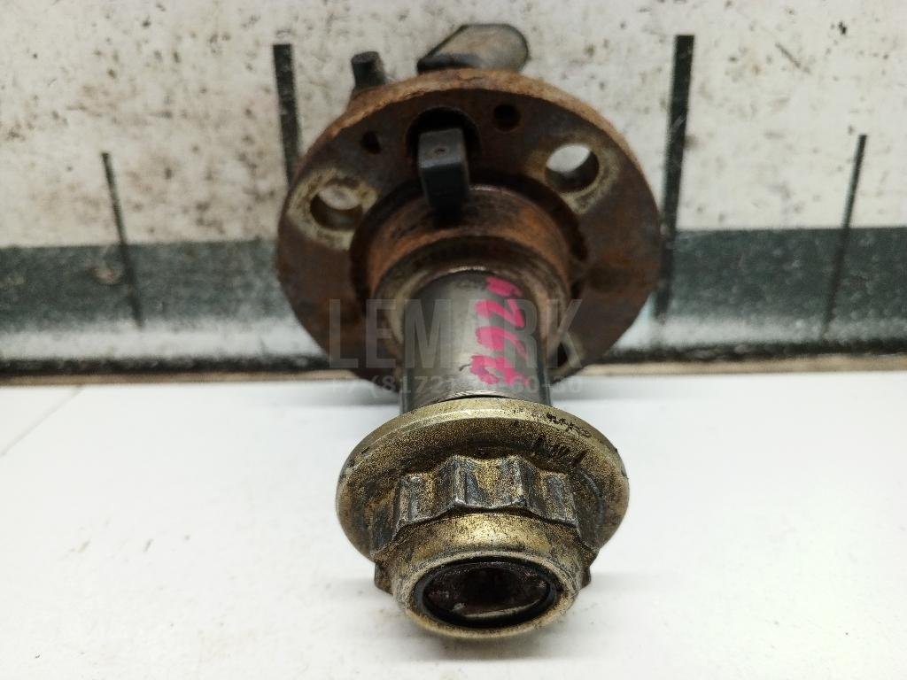 Цапфа (п.з.к.)