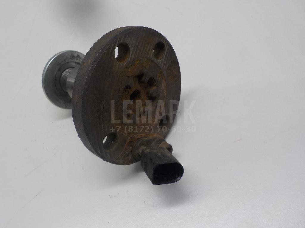 Цапфа (п.з.к.)