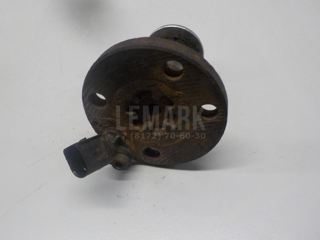 Цапфа (п.з.к.)