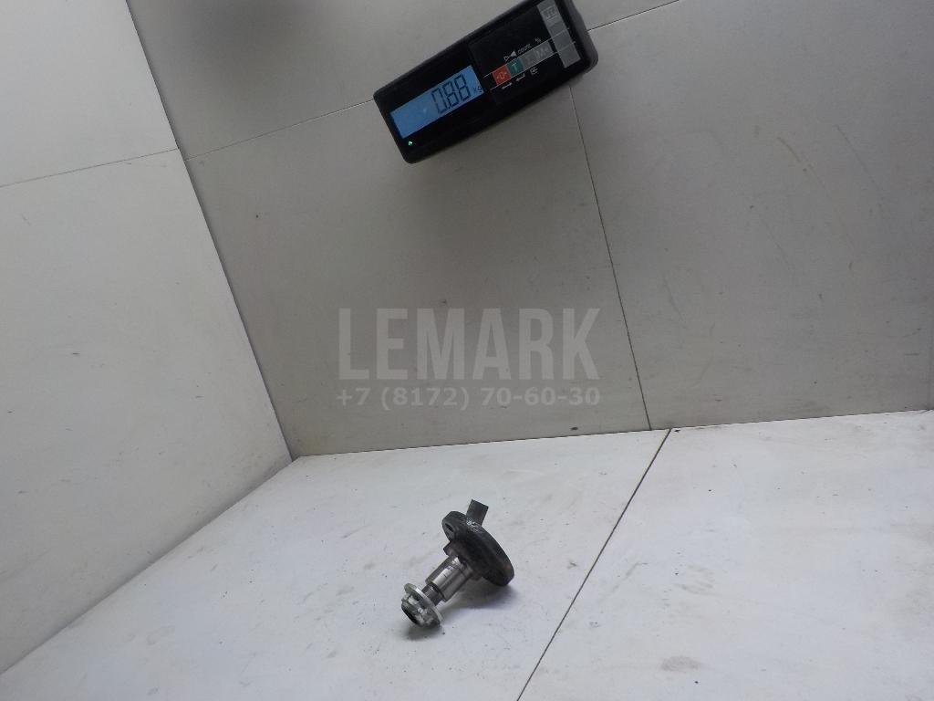 Цапфа (п.з.к.)