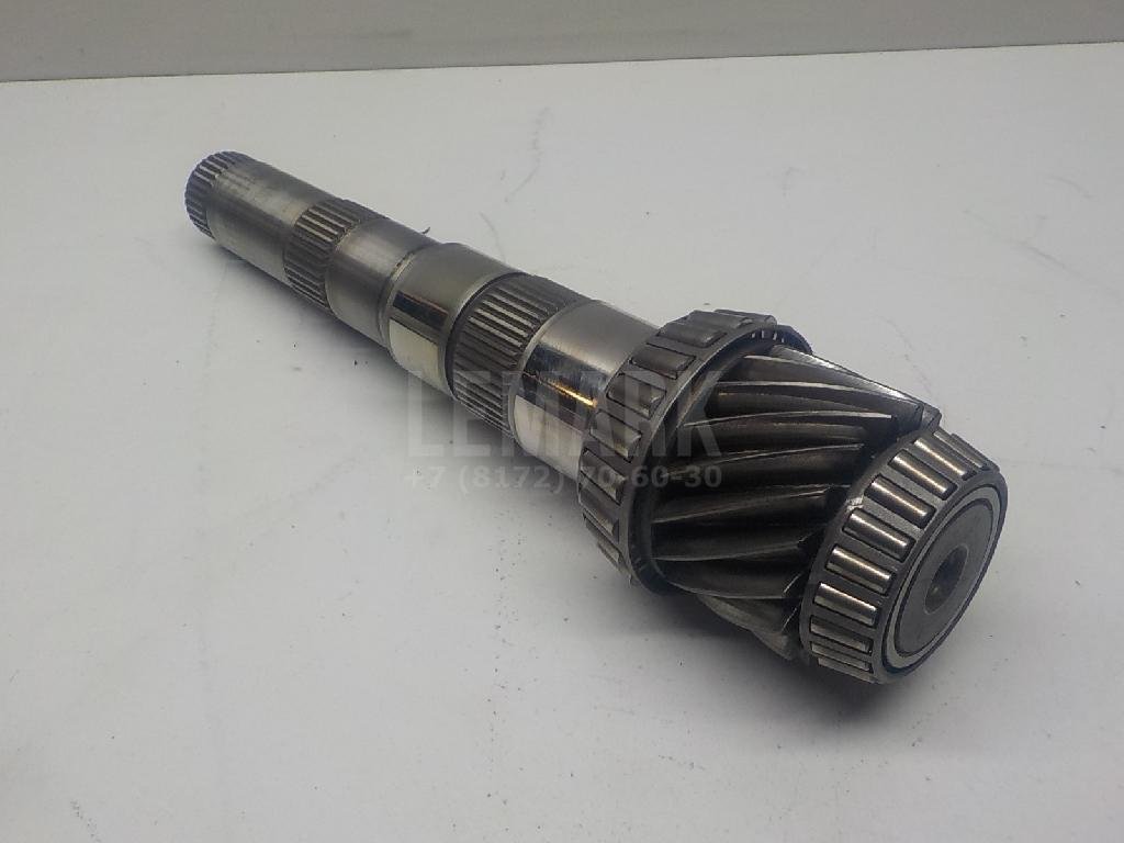 Пара главная