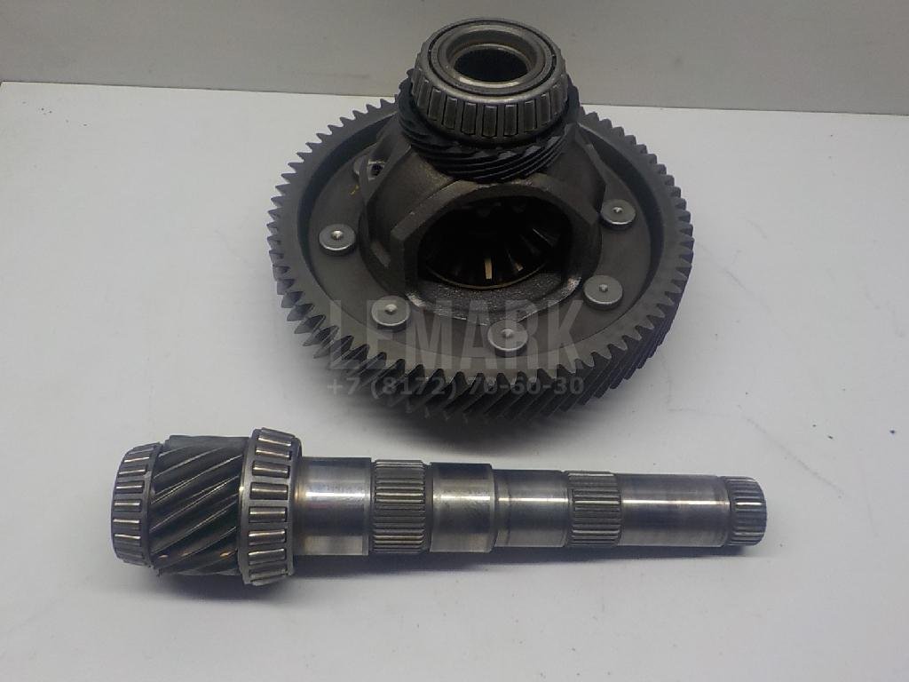 Пара главная