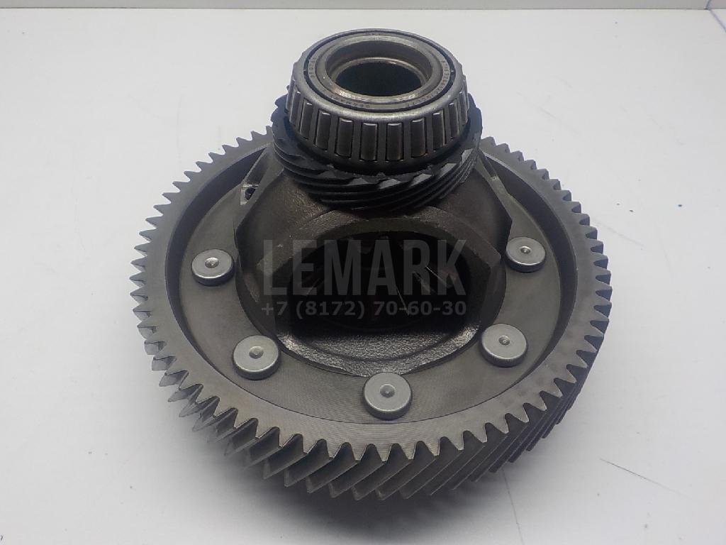 Пара главная