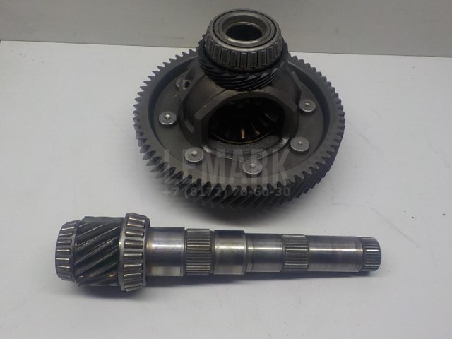 Пара главная