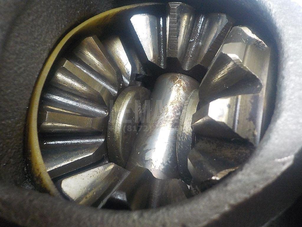 Пара главная