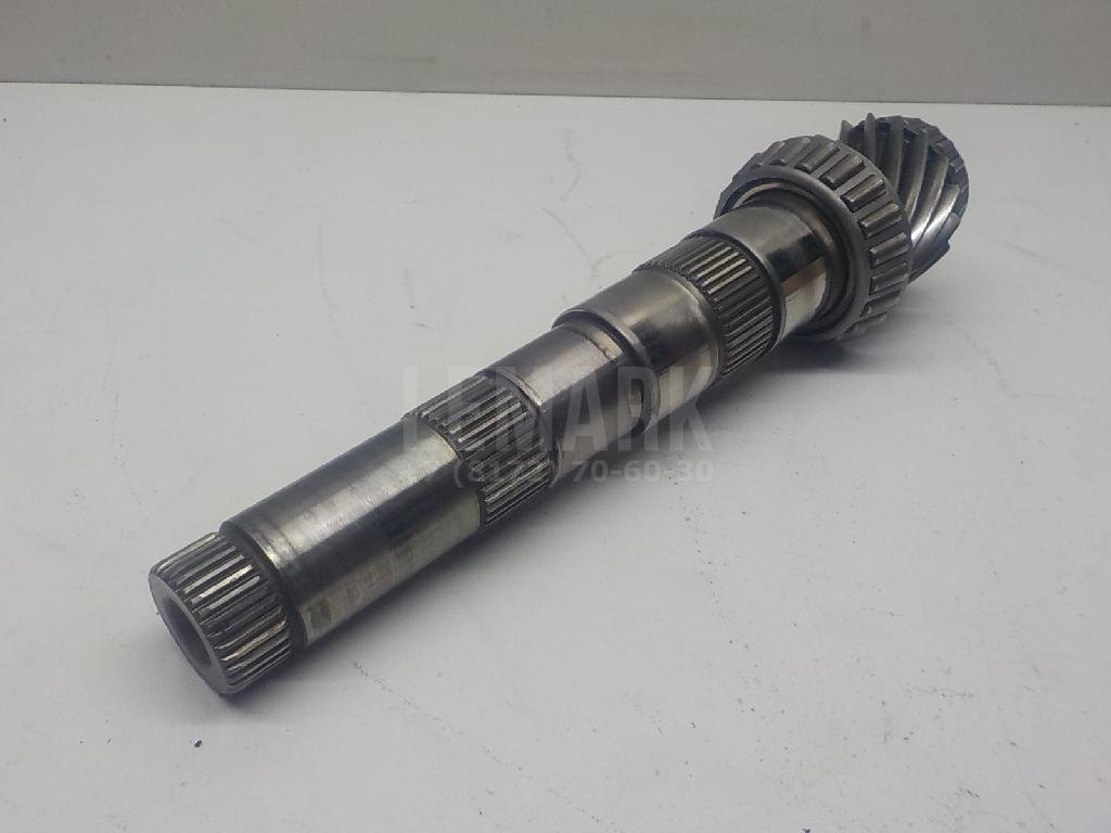 Пара главная