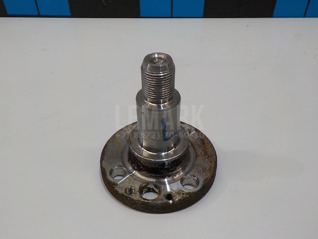 Цапфа (п.з.к.)