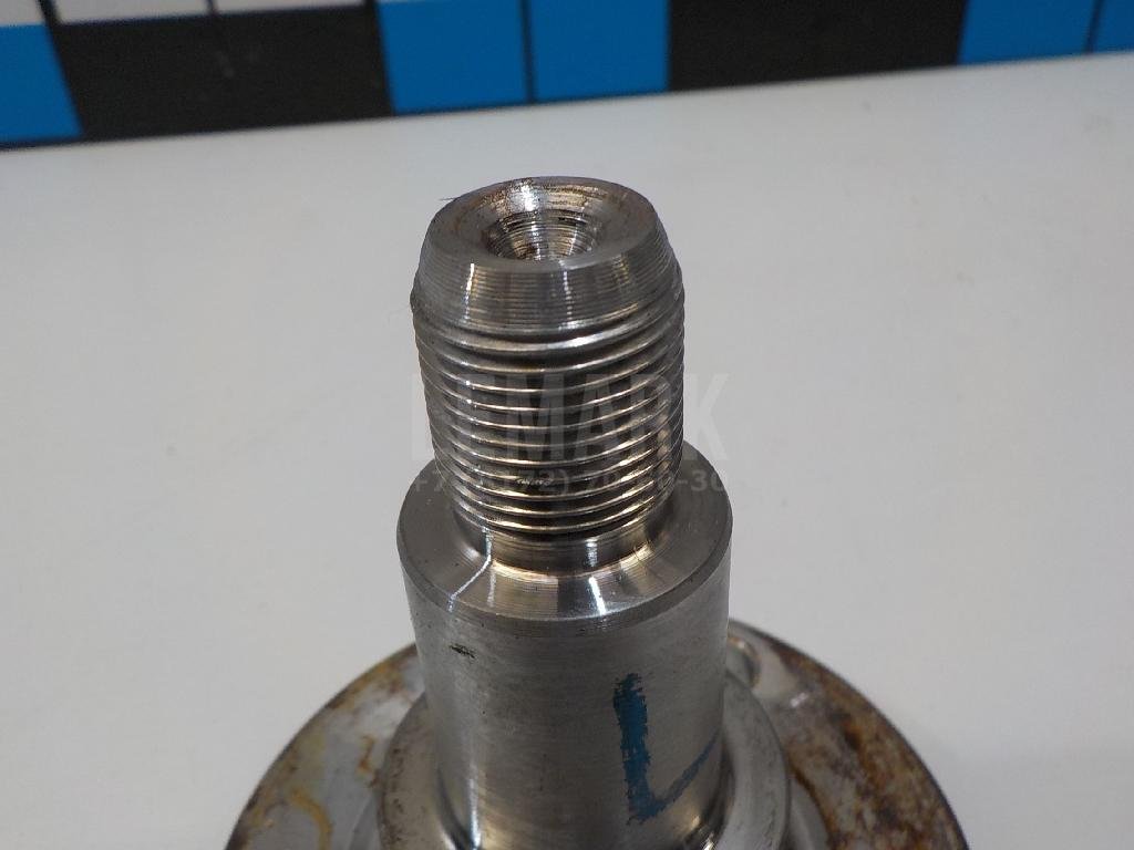 Цапфа (п.з.к.)