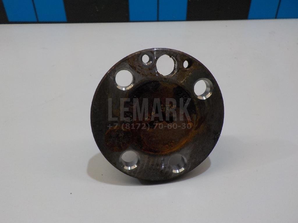 Цапфа (п.з.к.)