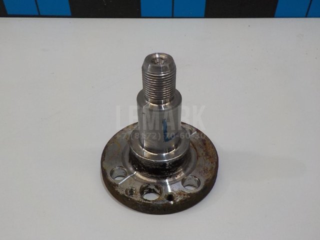 Цапфа (п.з.к.)