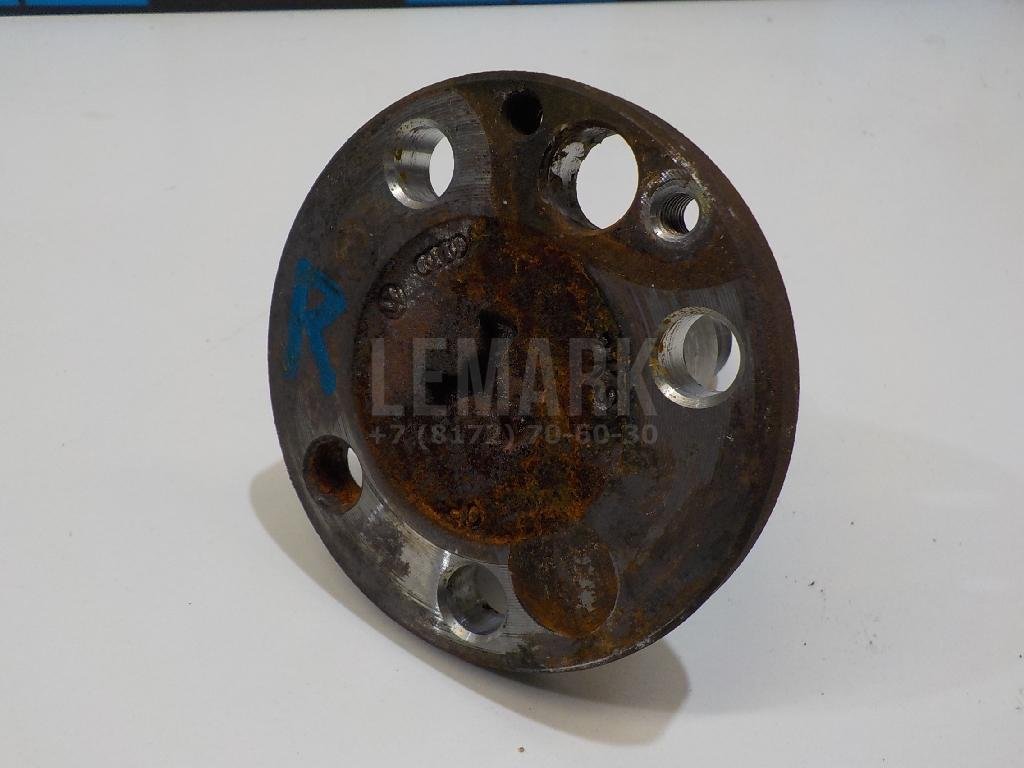 Цапфа (п.з.к.)