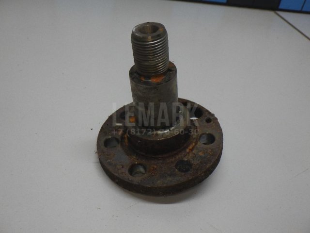 Цапфа (п.з.к.)