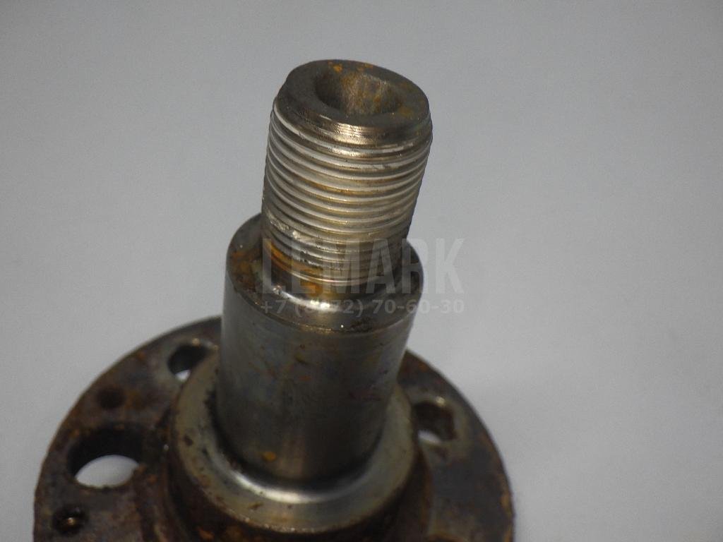 Цапфа (п.з.к.)