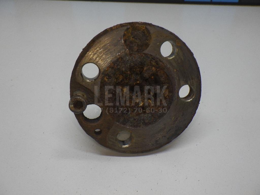 Цапфа (п.з.к.)