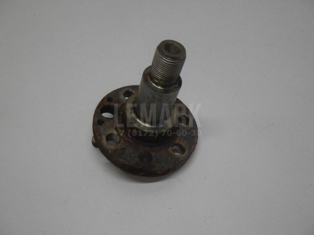 Цапфа (п.з.к.)