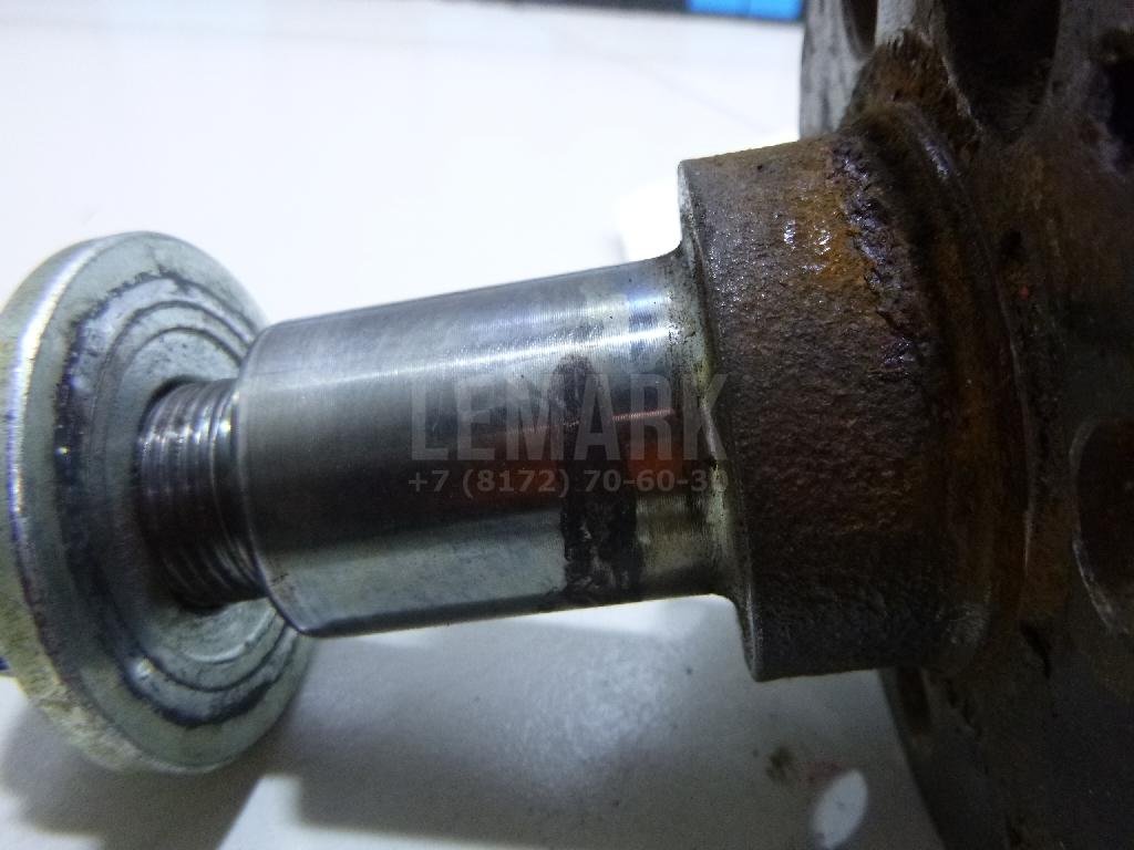 Цапфа (п.з.к.)