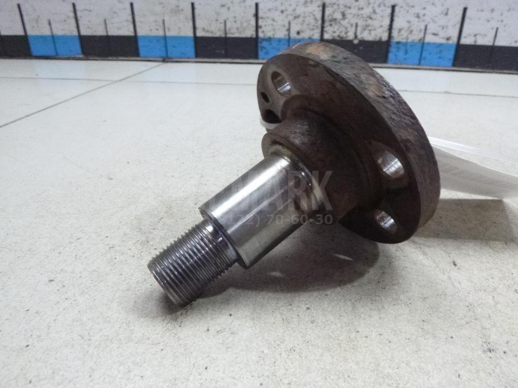 Цапфа (п.з.к.)