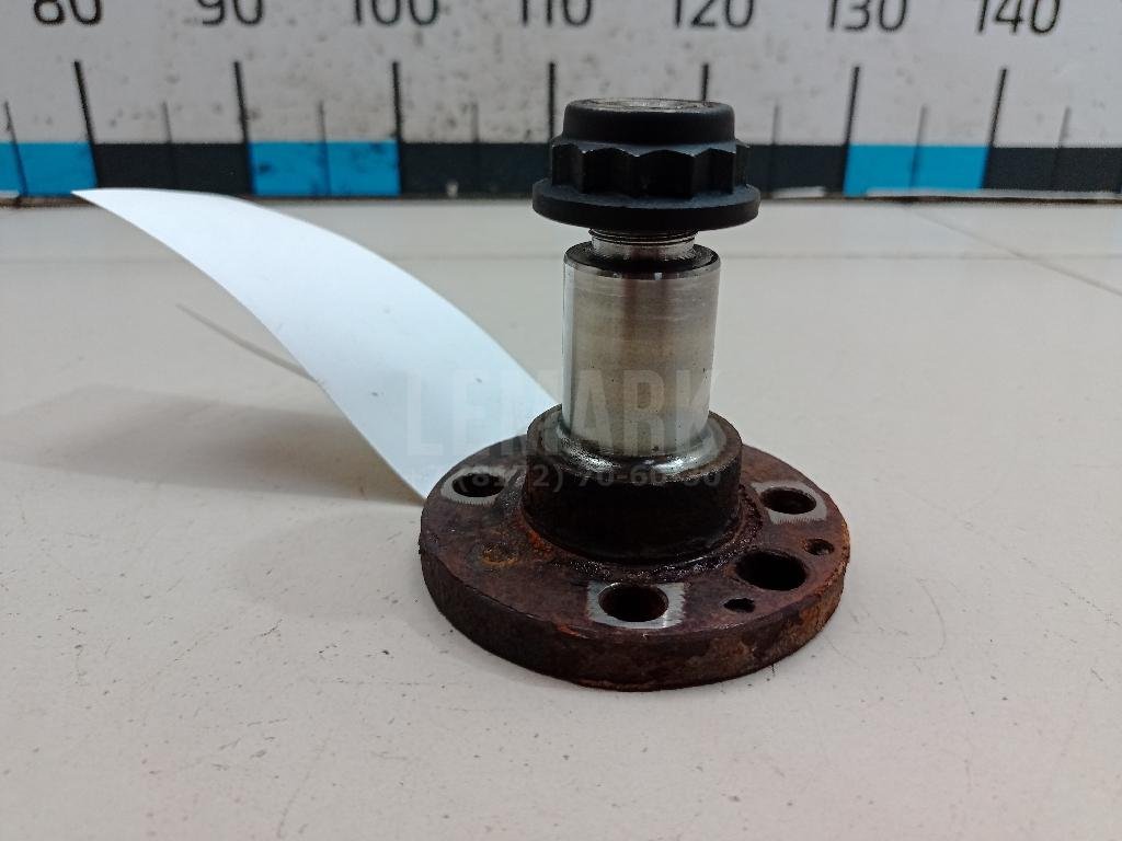 Цапфа (п.з.к.)