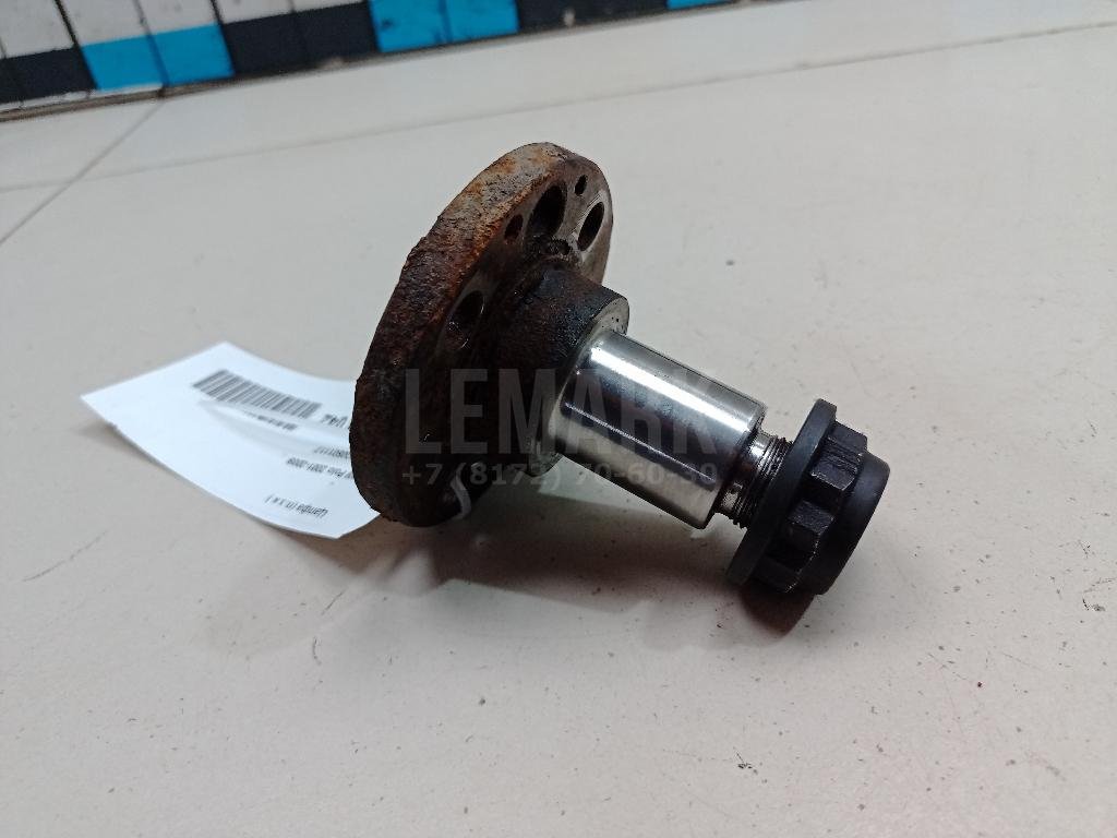 Цапфа (п.з.к.)