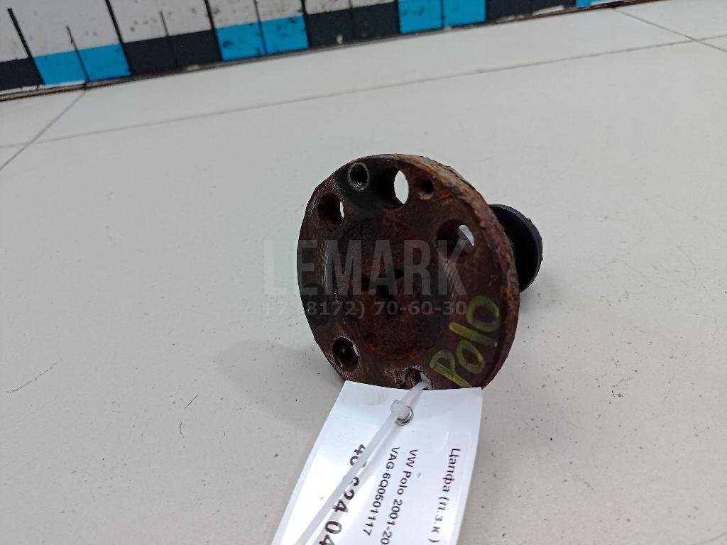 Цапфа (п.з.к.)