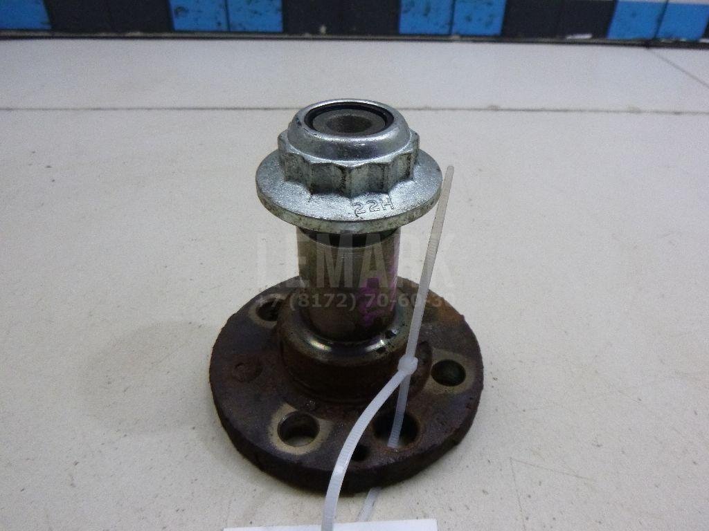 Цапфа (п.з.к.)