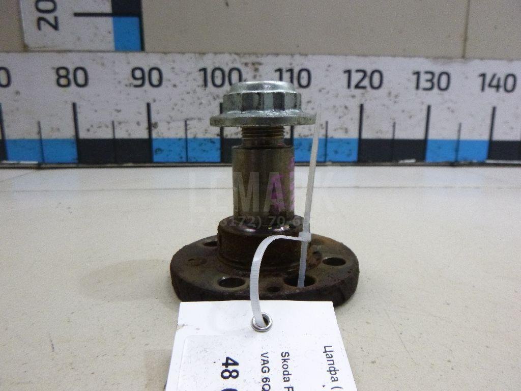 Цапфа (п.з.к.)