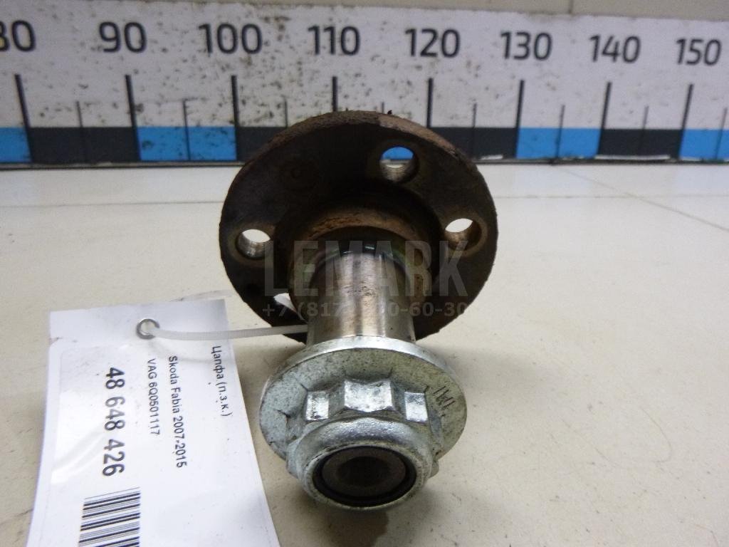 Цапфа (п.з.к.)