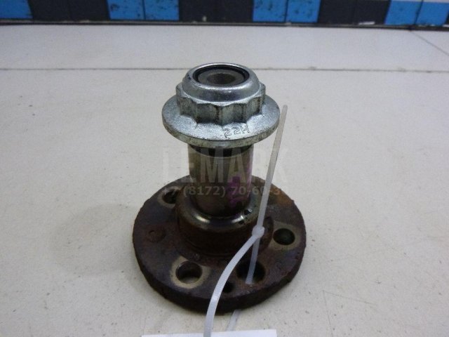 Цапфа (п.з.к.)