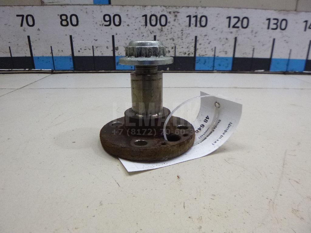 Цапфа (п.з.к.)