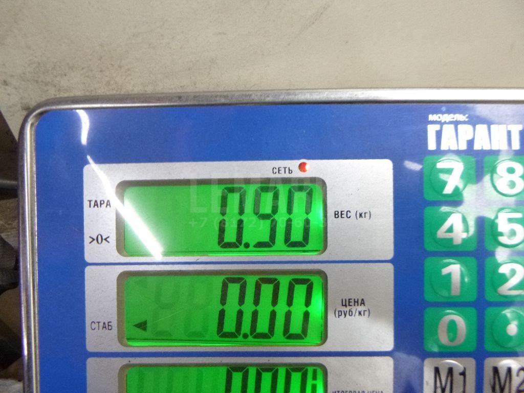 Цапфа (п.з.к.)