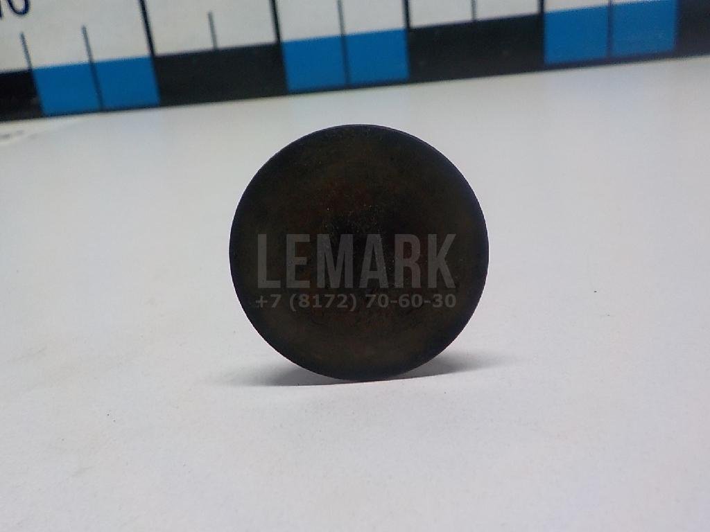 Клапан впускной