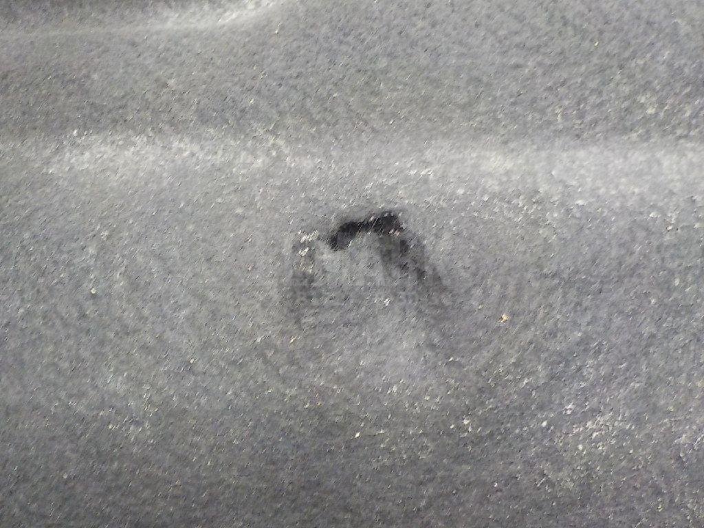 Шумоизоляция капота