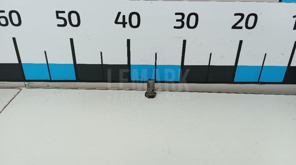 Болт полый для  Audi 80/90 [B4] 1991-1995