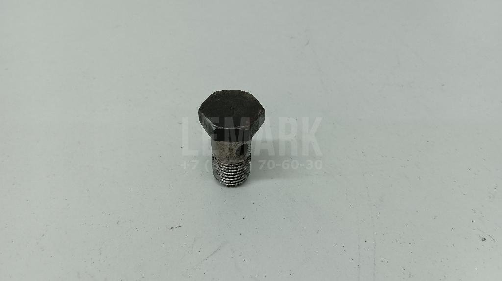 Болт полый для  Audi 80/90 [B4] 1991-1995