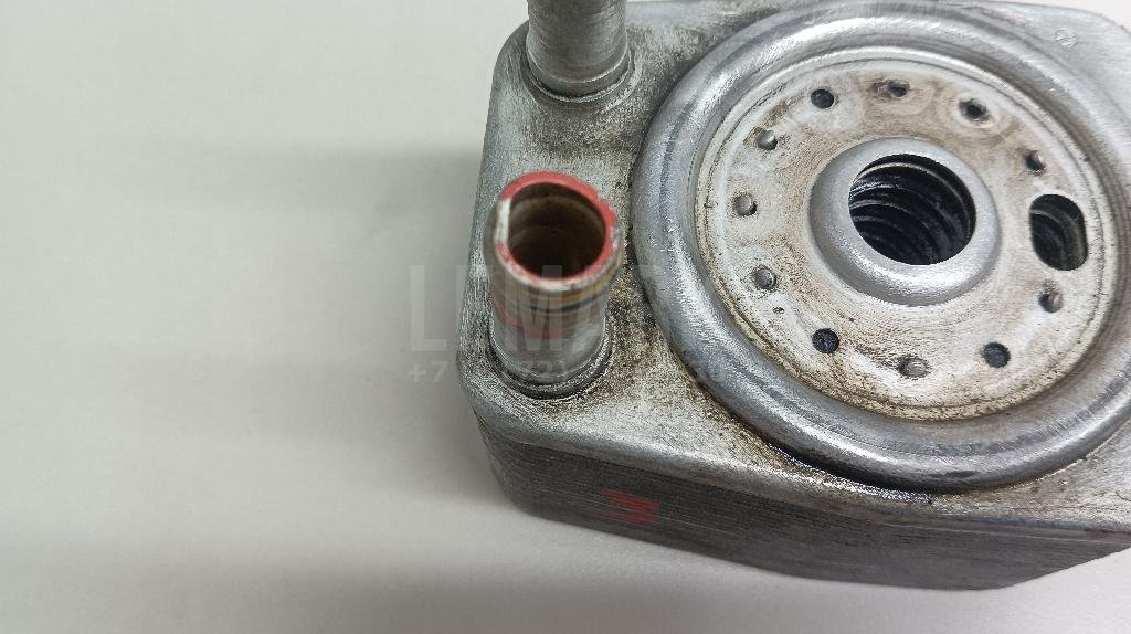 Радиатор масляный для  Audi A3 [8P1] 2003-2013