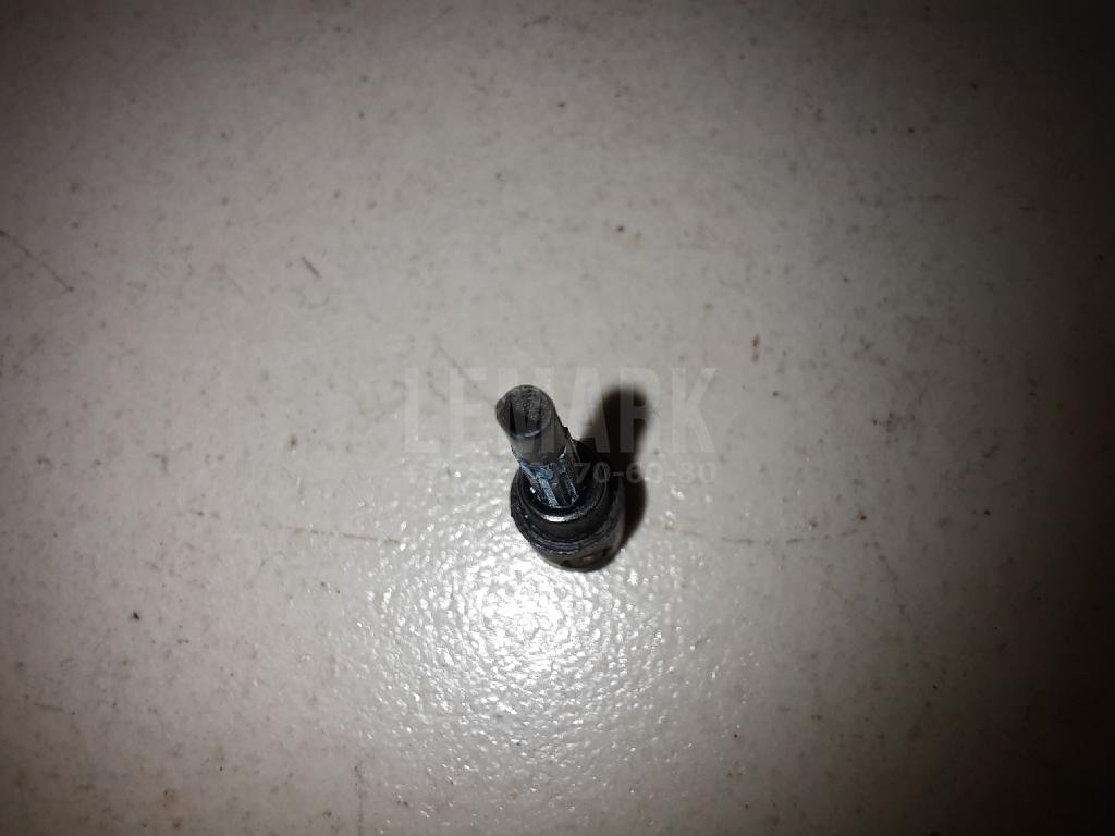 Форсунка омывателя зад стекла