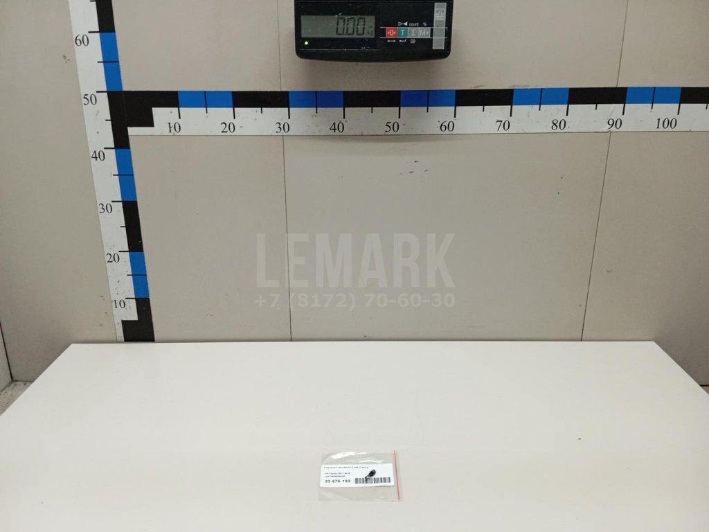 Форсунка омывателя зад стекла