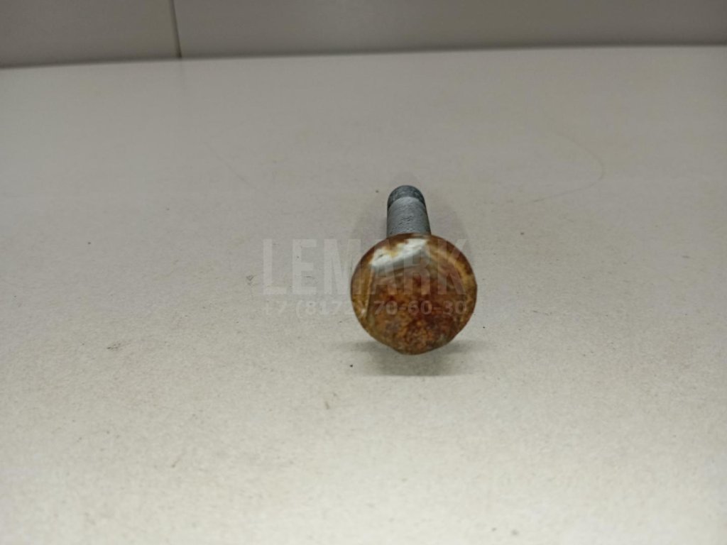 Болт заднего рычага