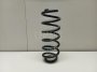 Пружина задняя