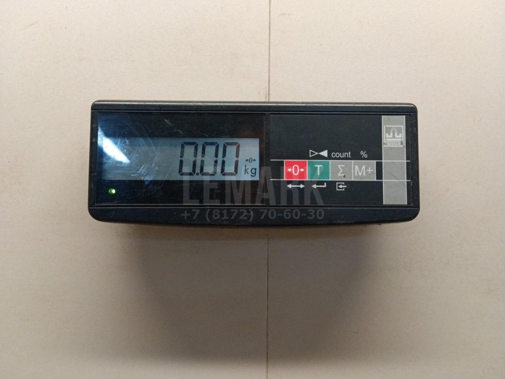 Плафон салонный