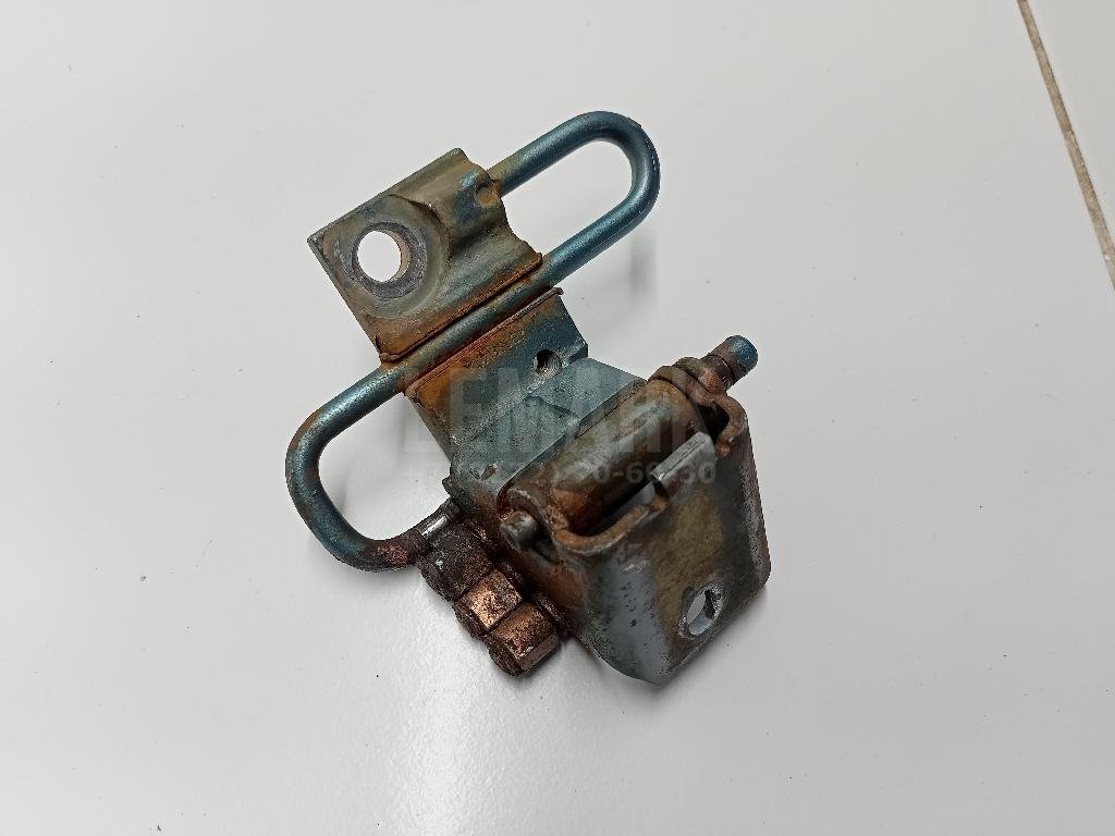 Петля двери передней левой нижняя